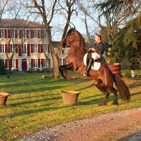 Le Relais Du Silence Chateau Lavail Labastide-dʼAnjou Εξωτερικό φωτογραφία