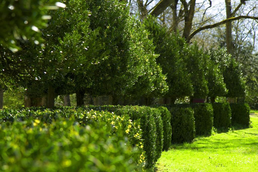 Le Relais Du Silence Chateau Lavail Labastide-dʼAnjou Εξωτερικό φωτογραφία